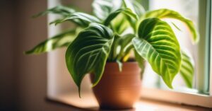 Siarczan magnezu oprysk: Magnez dla roślin i poprawa gleby!