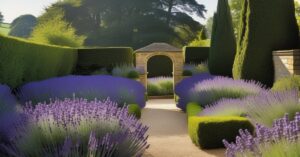 Lawenda Blue Scent czy Hidcote: Wybór idealnej odmiany mrozoodpornej