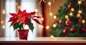 Gwiazda betlejemska trująca? Poinsecja i jej liście - fakty!